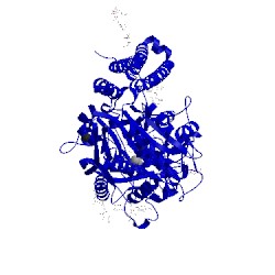 Image of CATH 3sjf