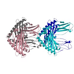 Image of CATH 3sjv