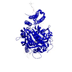 Image of CATH 3sjx