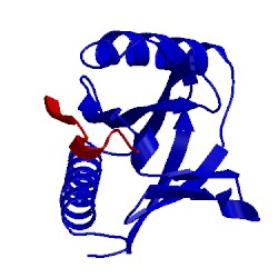 Image of CATH 3so6
