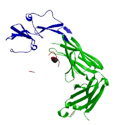 Image of CATH 3sob