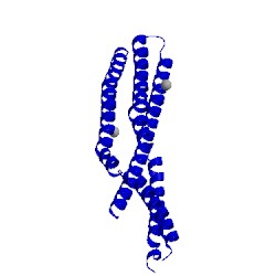 Image of CATH 3sog