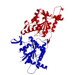 Image of CATH 3sop