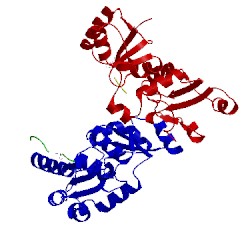 Image of CATH 3sqd