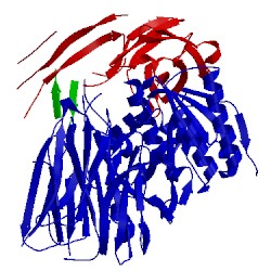 Image of CATH 3sqo