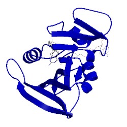 Image of CATH 3sqy