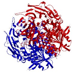 Image of CATH 3sx4