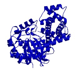 Image of CATH 3sx9
