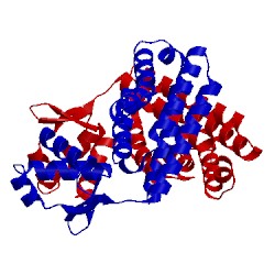 Image of CATH 3sxy