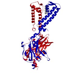 Image of CATH 3syq