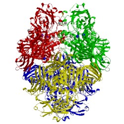 Image of CATH 3t08