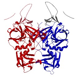 Image of CATH 3t2n