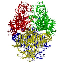 Image of CATH 3t2q