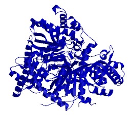 Image of CATH 3t3d