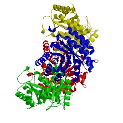 Image of CATH 3t4c