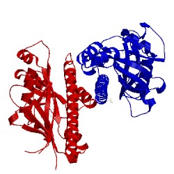 Image of CATH 3t4s