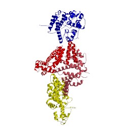 Image of CATH 3t5v