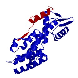 Image of CATH 3t5x