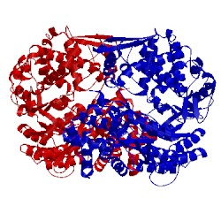 Image of CATH 3t6b