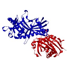 Image of CATH 3t7g