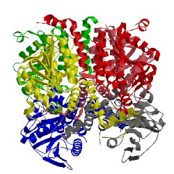 Image of CATH 3t89