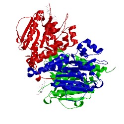 Image of CATH 3t8a