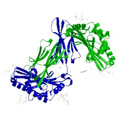 Image of CATH 3t8x