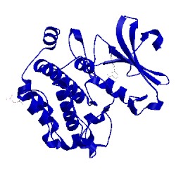Image of CATH 3t9i