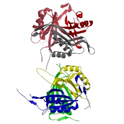 Image of CATH 3ta1