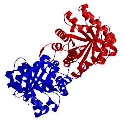 Image of CATH 3ta6