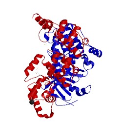 Image of CATH 3tac