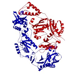 Image of CATH 3tam