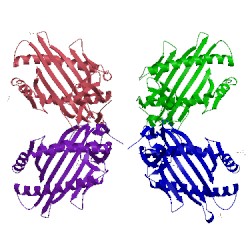 Image of CATH 3tbv