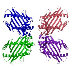 Image of CATH 3tbw