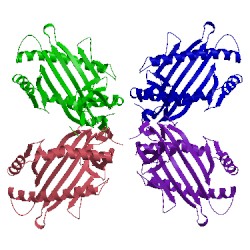 Image of CATH 3tby
