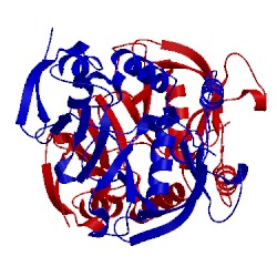 Image of CATH 3tca