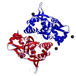 Image of CATH 3tdj