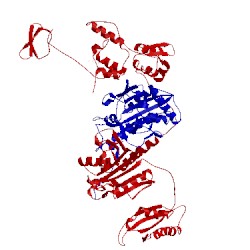 Image of CATH 3teh