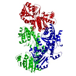 Image of CATH 3tf5