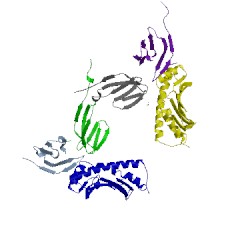 Image of CATH 3tf7