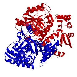 Image of CATH 3tft