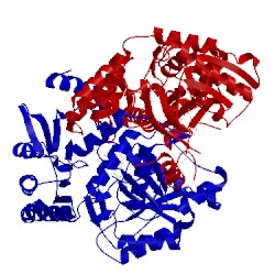 Image of CATH 3tfu