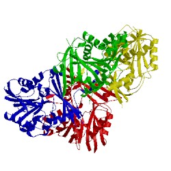Image of CATH 3ths