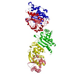 Image of CATH 3tjb