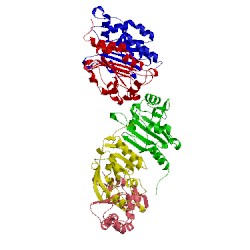 Image of CATH 3tjg