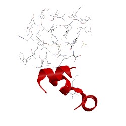 Image of CATH 3tjw
