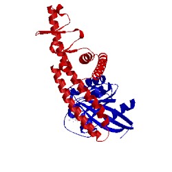 Image of CATH 3tkl