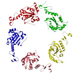 Image of CATH 3tkp