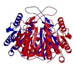 Image of CATH 3tla