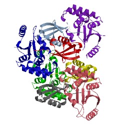 Image of CATH 3tmp